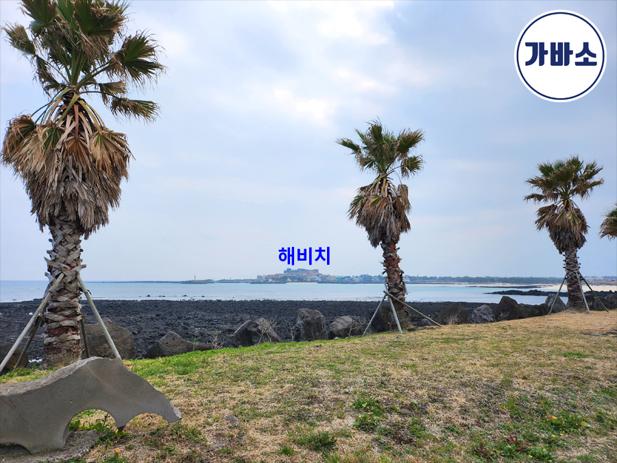 bc62897448a89cdb8722a151008b14b8_1689036791_8004.jpg bc62897448a89cdb8722a151008b14b8_1689036791_8004.jpg