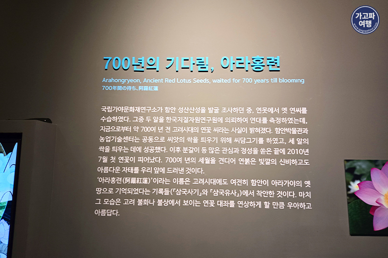 9a8ce9f14c87878828d39f04af31de23_1747043432_6509.jpg 9a8ce9f14c87878828d39f04af31de23_1747043432_6509.jpg