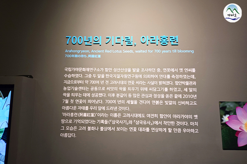 9a8ce9f14c87878828d39f04af31de23_1747044598_2759.jpg 9a8ce9f14c87878828d39f04af31de23_1747044598_2759.jpg
